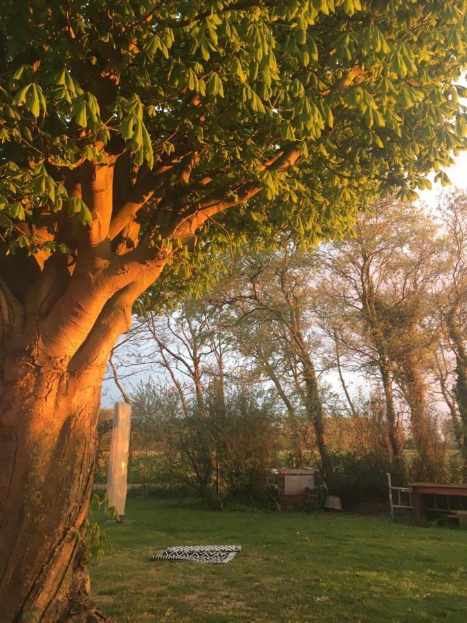 Lowlander Bnb Heemskerk Εξωτερικό φωτογραφία